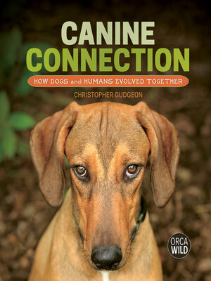 cover image of Canine Connection